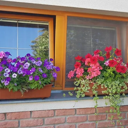 Privat Nika 3* Závažná Poruba