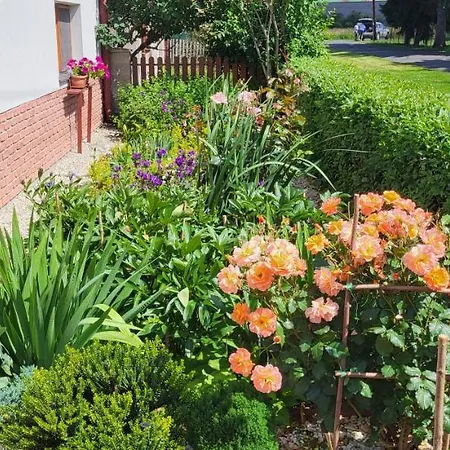 Privat Nika Gæstehus 3*