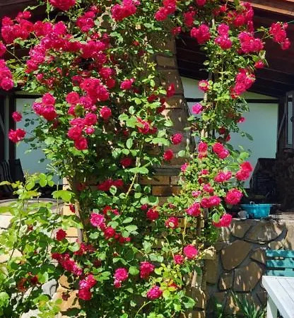 Privat Nika Gæstehus Závažná Poruba